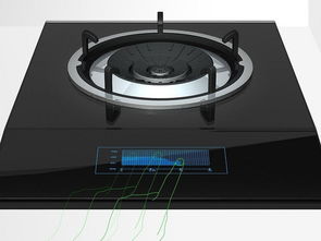 告別燃?xì)庠钸x擇與維修困惑 根據(jù)進(jìn)風(fēng)方式選購指南